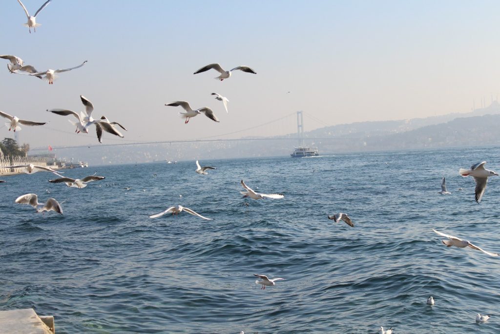 Istanbul Bosphorus & Markets