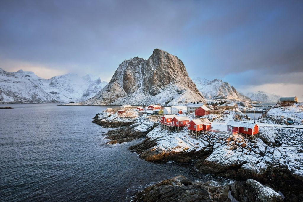 Norway Dog Sledding Expedition